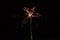 Newyear beautiful fireworks on black background