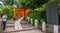 Nezu Jinja Shrine Red Torii Gates