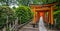 Nezu Jinja Shrine Red Torii Gates