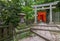 Nezu Jinja Shrine Torii Gate