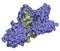 NFAT1 (Nuclear factor of activated T-cells, cytoplasmic 2, NFATC2) protein. DNA binding protein implicated in breast cancer