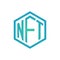 NFT symbol. Non fungible token icon vector.