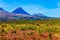 Ngauruhoe - the active volcano