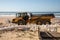 NGE Guintoli logo brand and text sign on truck front end loader working on sea beach