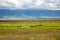 Ngorongoro Crater Conservation Area  with herds of grazing herbivores