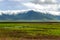 Ngorongoro valley with flowering meadows