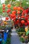 Nha Trang, Vietnam - 13 January 2023: Many red lanterns hanging in Vietnam for Tet Lunar New Year