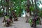 Ni-Vanuatu Traditional Dance