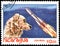 NICARAGUA - CIRCA 1982: stamp, printed in Nicaragua, shows Dog-cosmonaut Laika