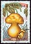 NICARAGUA - CIRCA 1985: A stamp printed in Nicaragua shows Boletus calopus, circa 1985.