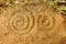 Nicaragua, Petroglyphs on an Ometepe island