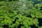 Nice abstract view of natural clear ocean water pond in tropical garden with seaweeds floating on water