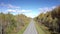 Nice aerial view yellow birch woods and distant car on road