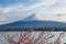 Nice and beautiful mount Fuji and pink cherry blossoms in spring