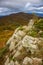 Nice beech forest in autumn in Spain, mountain Montseny