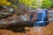 Nice beech forest in autumn in Spain with a small creek, mountain Montseny