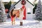 Nice blonde curly child and adorable pony with festive wreath near the small wooden house and snow-covered trees. New Year and Chr