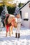 Nice blonde curly child caresses adorable pony with festive wreath near the small wooden house and snow-covered trees. New Year an