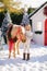 Nice blonde curly child caresses adorable pony with festive wreath near the small wooden house and snow-covered trees. New Year an