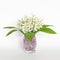Nice Bouquet of Lilies of the Valley for Mother`s Day