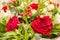 Nice bunch of flowers with red roses and other