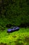 Nice car toy with on a beautiful green surface with a nice blurry bokeh effect. photography art, bokeh, miniature photography,