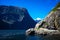 Nice close-up of the sea lions in Milford Sound with the snow capped mountains in the background taken on a sunny spring day, New