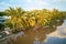 Nice coconut trees reflection against the river