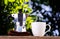 Nice coffee cup and coffee pot with green leaf and sun light background