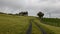 Nice country road through a green meadow with an abandoned stone building. Irish landscape