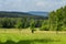 Nice Czech landscape in Novohradske mountain with meadow