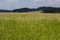 Nice Czech landscape in Novohradske mountain with meadow flower