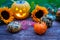 A nice decorative pumpkins on rustic background