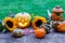 A nice decorative pumpkins on rustic background