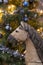 Nice detail photo of a wooden vintage rocking horse and part of a Christmas tree. Christmas 2020