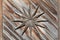 A nice detailed background image of an old wooden door dekor, wooden star