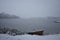 Nice details photo of frosty snowy boat frozen in lake in Sweden Scandinavia at winter