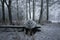 Nice details photo of frosty snowy boat on land in Sweden Scandinavia at winter