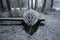 Nice details photo of frosty snowy boat on land in Sweden Scandinavia at winter