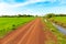 Nice Dirt Road through Green Paddy Field under Blue Sky