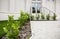 Nice door and stairs in the street. Decorative trees and pebbles. Outdoors provision of urban amenities