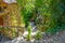 Nice driveway to an old stone house with fences and wooden stools and decorated with lots of greenery