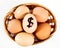 Nice eggs in basket with dollar sign