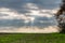 Nice field with tree on side. Visible sun beams from heaven, nice clouds