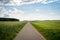 Nice footpath between grain fields in summer