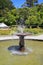 Nice fountain in Wellington botanic garden