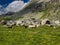 Nice and friendly sheeps everywhere on meadows of Alps.