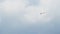 Nice glider performance in sky. Airplane showing tricks in the air