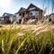 nice grass in front of a house