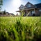 nice grass in front of a house